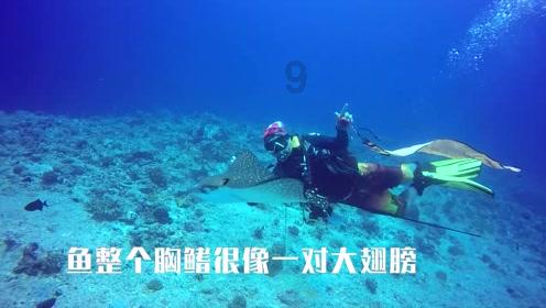 突破3805米！包银高铁银巴支线贺兰山隧道内蒙古段全线掘进过半！